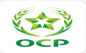 Office Chérifien des Phosphate (OCP)