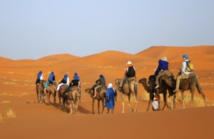Foreign tourists camel trekking near Merzouga, Morocco. Image for illustration purpose only. 
