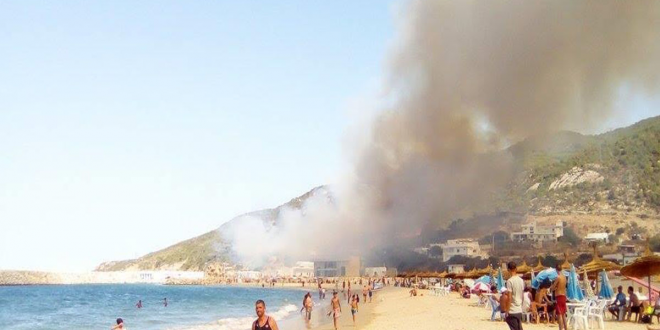Few minutes folloiwing the break of fire in the forest surrounding Dalia beach, Ksar Sghir.