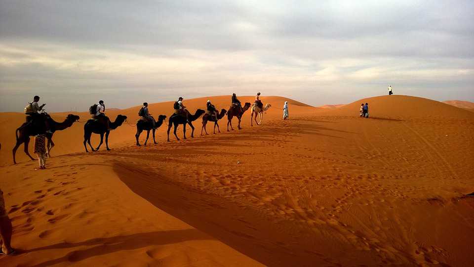 Camel Trekking in Merzouga, southern east of Morocco.